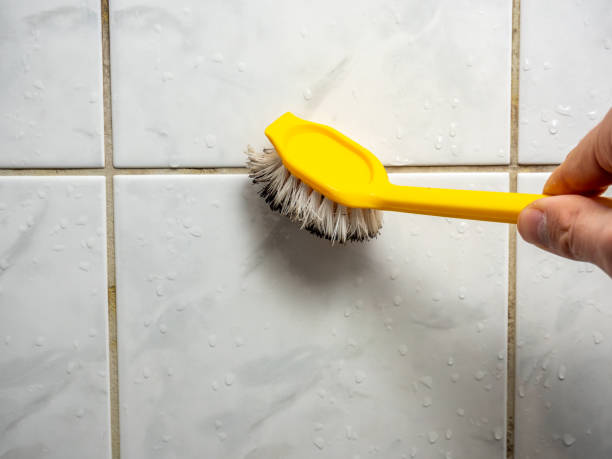 Best Mold Testing and Inspection Services in Ferguson, MO